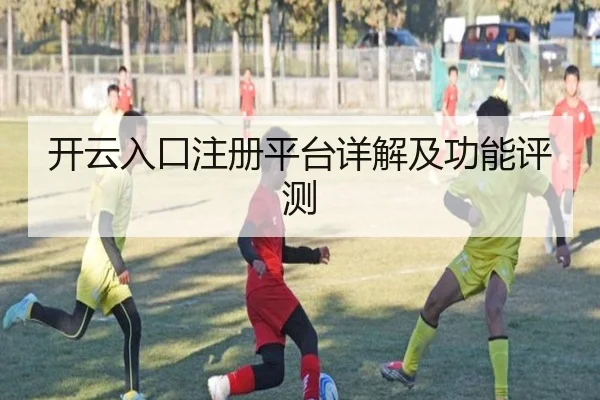 开云入口注册平台详解及功能评测