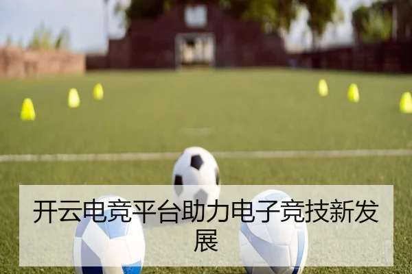 开云电竞平台助力电子竞技新发展